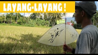 Download lagu KITE VICTIMS! mp3 Download lagu KITE VICTIMS! mp3