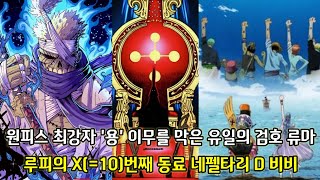 [원피스 2가지 떡밥 분석] 원피스 최강자 용 이무를 막은 유일의 검호 류마 그리고 루피의 X번째 동료 네펠타리 D 비비