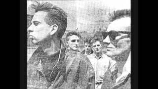 The Desert Wolves - Mexico