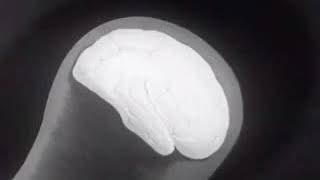 Primus Over The Electric Grapevine Music Video