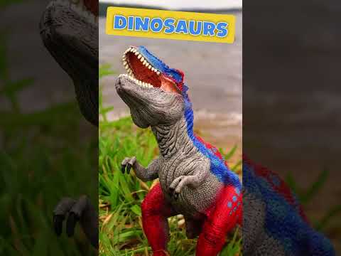 Subscribe to this channel for #kidsvideos featuring #dinosaurs! 🦖 #babablast