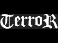 Terror - Survival Comes Crushing In