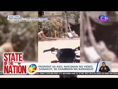 Brutal na pagpatay sa aso, nakunan ng video; isa sa mga sangkot, SK Chairman ng Barangay SONA