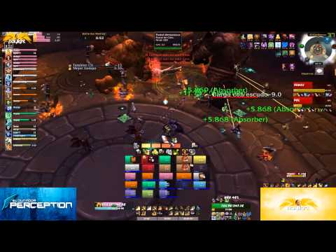Perception vs Twin Ogron Heroic - Paladin Holy PoV
