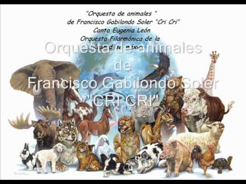 Orquesta de animales.wmv