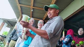 Okiagaru Farm X Binus University #binusempowerment