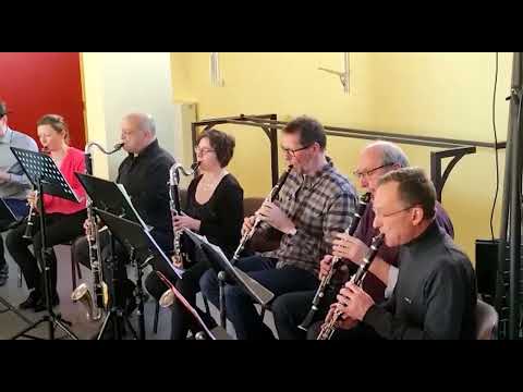 Thème de la Panthère Rose par les classes de clarinette de l'APEM LAXOU et MUSICAVILLERS