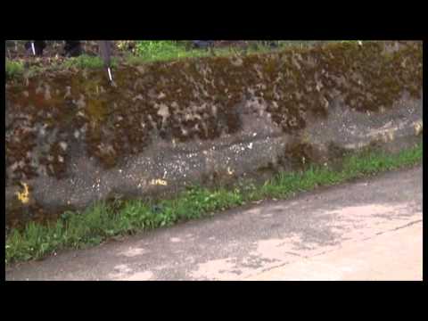 Ronde di Gioiosa Marea 2011 - Gli Equipaggi SGBRallye -