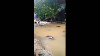 Download lagu Nungguan nu nguseup /Nungguin yang lagi mancing😁😁😁😅😅😅 mp3
