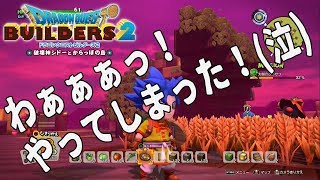 【DQB2】最初から、知っていれば・・・LV 19【実況】