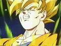 DBZ Vs 300