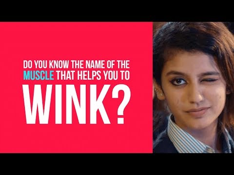 Why Do We Wink? - Prevalence, Types & Interesting Facts
