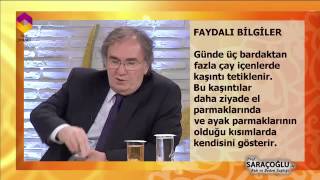 Faydalı Bilgiler - TRT DİYANET