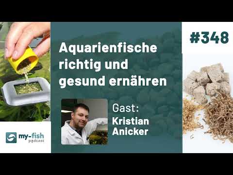 , title : 'my-fish.org - Aquarienfische richtig und gesund ernähren - Füttern mit Artenkonzept (Kristian A.)'