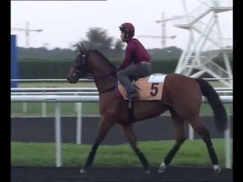 Racing360 - Dubai World Cup #2