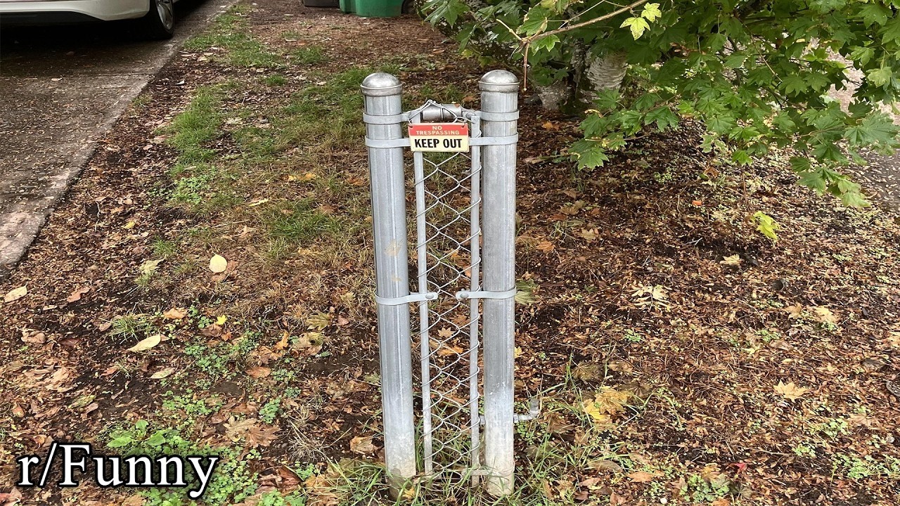 a rather long funny reddit video