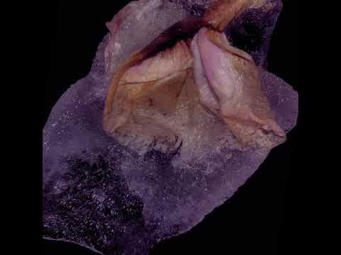 Charlie Sparks - Warning From Above