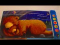 I Love You Little Bear Play A Sound