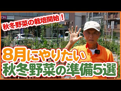  8月には何を植えますか？季節の主役野菜や花々にズームアップ！  庭園
