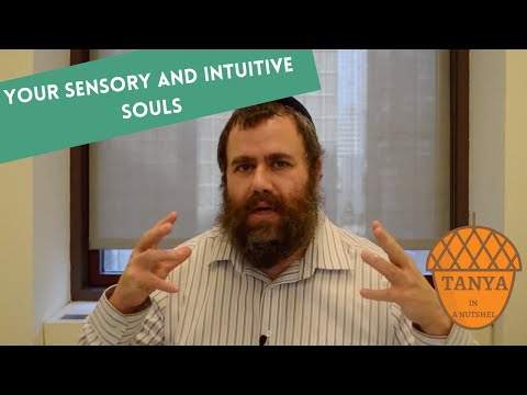 Tanya in Nutshell: Chapter 1 - Your sensory and intuitive souls