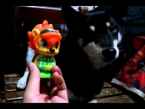 娃娃來拜票囉 ! 投娃娃一票喔!(原發表者:娃娃的阿爸)(影片)