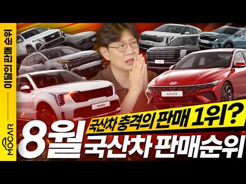 격변의 8월 국산차 판매 순위...테슬라 아반떼 미쳤다