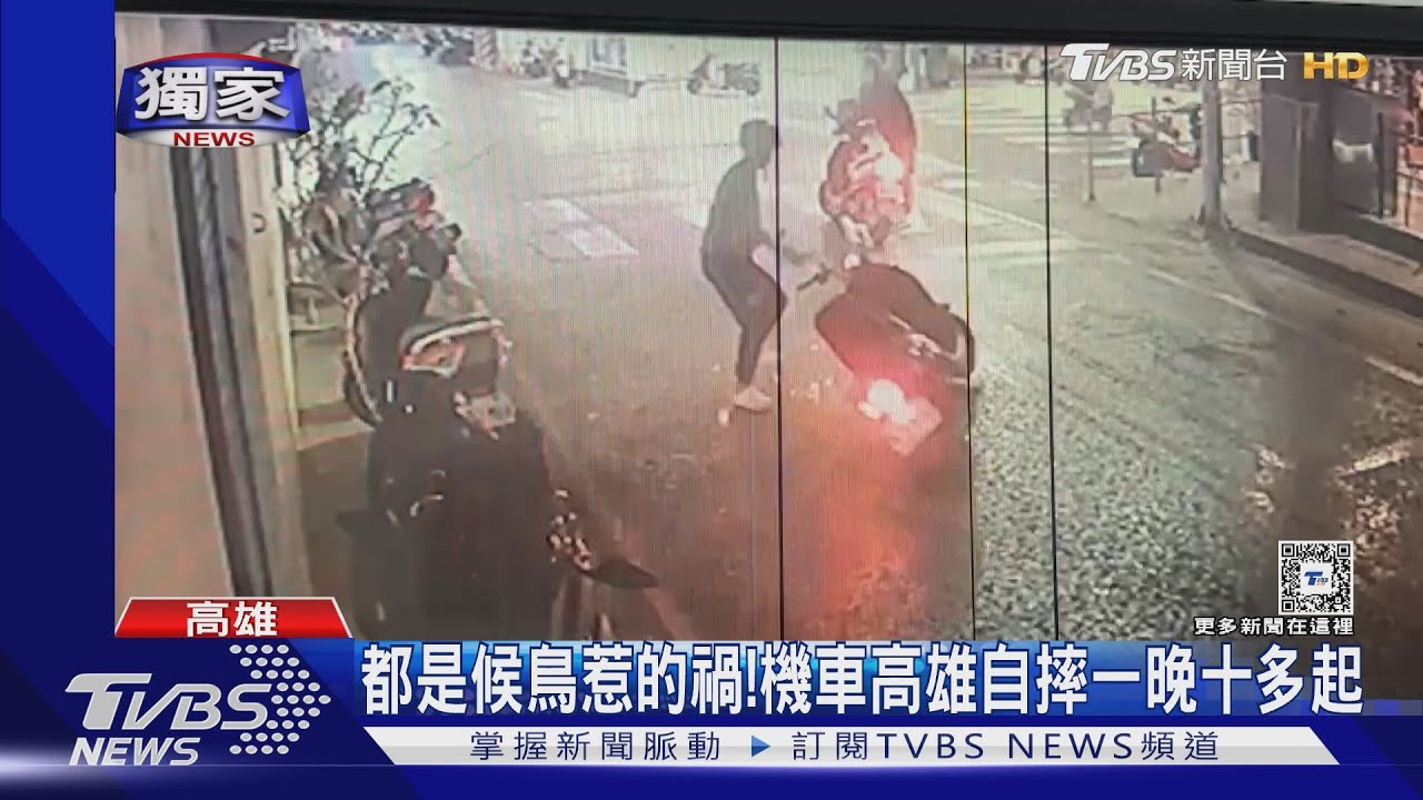 都是候鳥惹的禍！排泄物混雨水濕滑　路口一晚十多起摔車