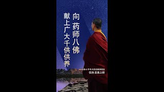 观音山 中华大悲法藏佛教会住持  龙德严净仁波切：向 药师八佛献上广大千供供养