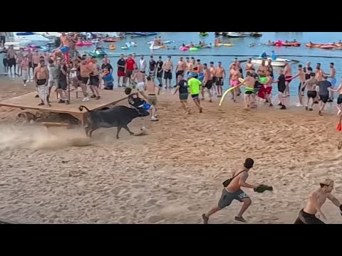 Bous a la Mar Dénia 2025. Cogidas, Sustos y Caídas! Ganadería La Paloma - 05.07.2025