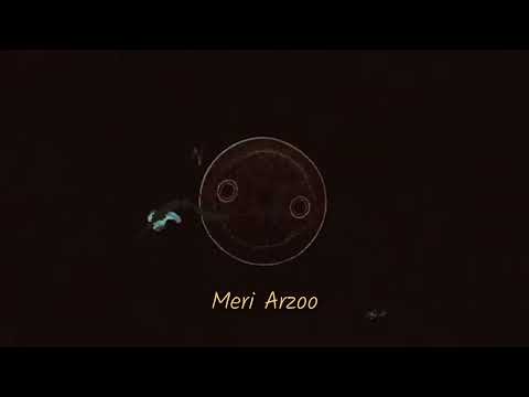 Chaotic Silence - Aarzoo (Official Lyrics Video)