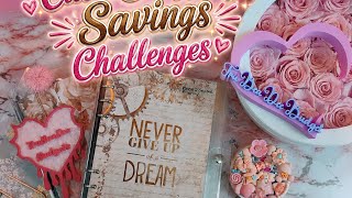 🌞 Today's My Birthday Y'all 🎇🥳 $735 Cash Stuffing Savings Challenges 🌞