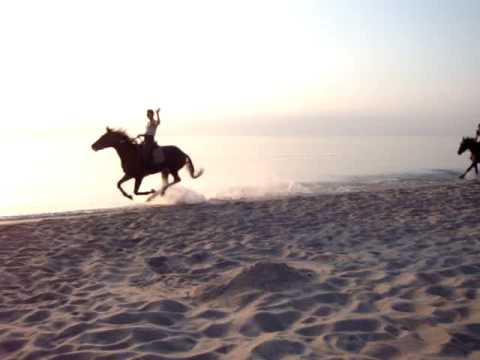Bobolin- galop po plaży