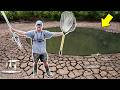 SAVING FISH In A DRIED UP Pond