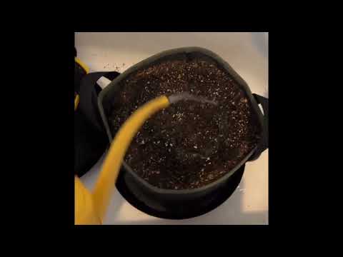 The Best Soil Mix For Autoflowers