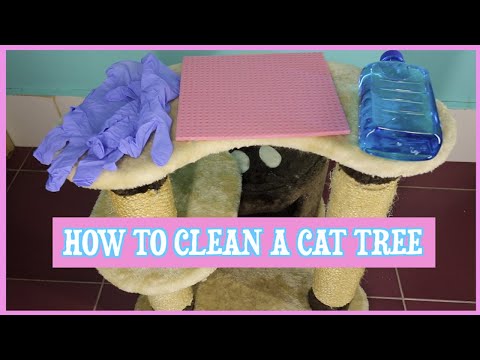 How To Clean A Cat Tree ❓