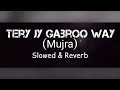 Tera jy Gabru way  mujra slow and Reverb