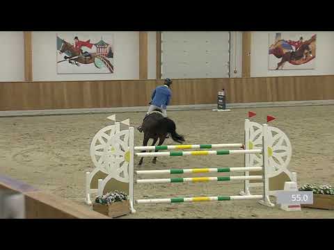 D'Aganix 2000 Z- Dominator Z x Aganix du Seigneur- Youngster Cup 7j CSI2  Riesenbeck 2021