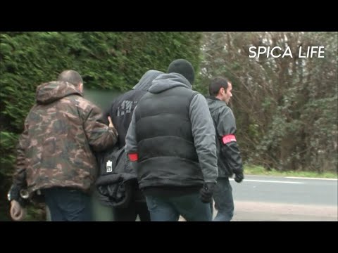 Drogue, écoutes et infiltrations : l’opération coup de filet