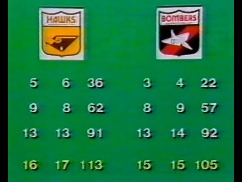 1984 2nd Semi Final Essendon v Hawthorn. The Winners.