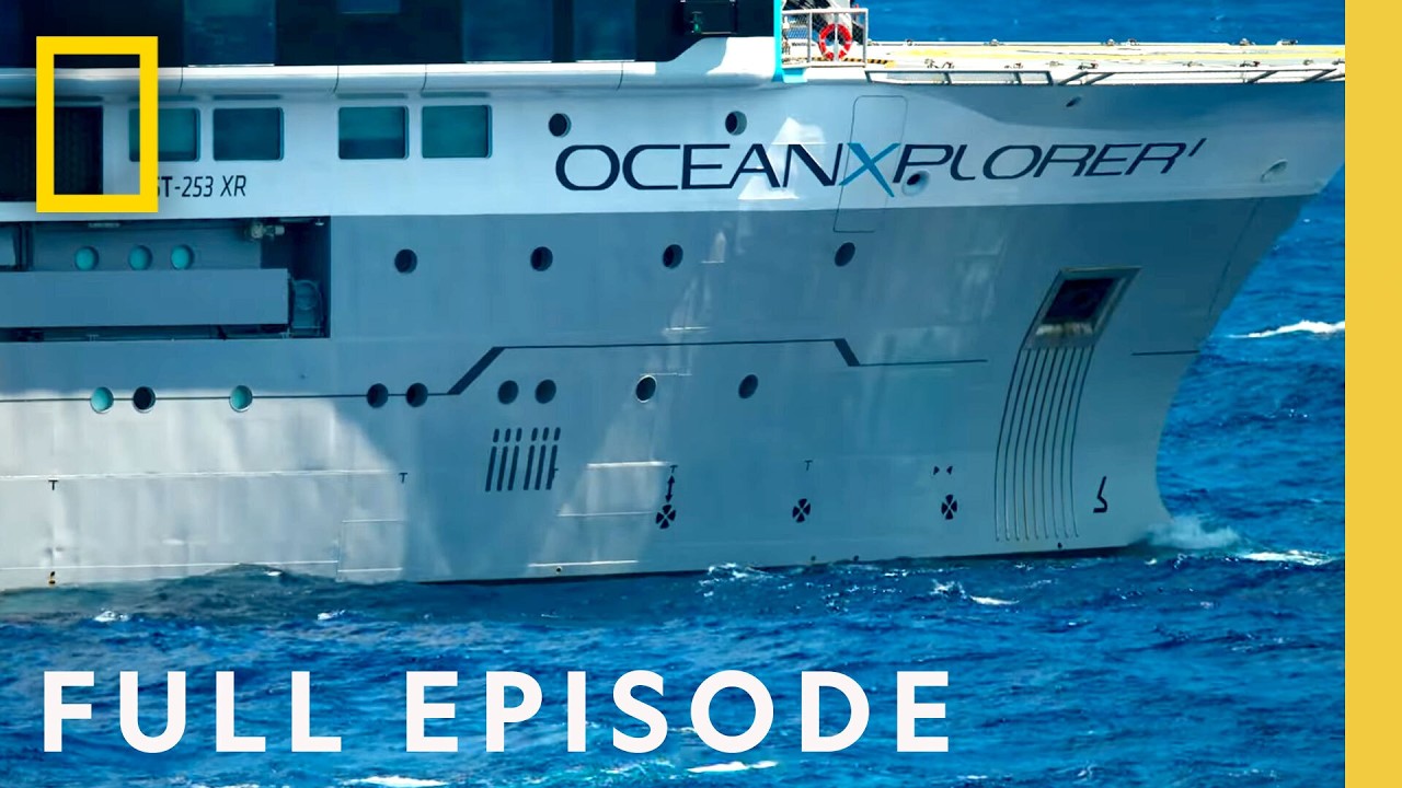 Realm of the Humpbacks: Epic Secrets | National Geographic