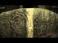 Brú na Bóinne - Archaeological Ensemble of the Bend of  ... (UNESCO/NHK)