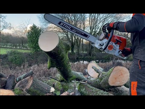 Stihl MS661 C Chainsaw cutting for firewood