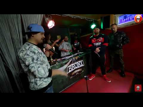 TIGER BONZO | TEGO TYPU