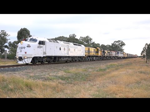 SSR Grain Train Cootamundra to Ardlethan