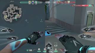 無題の動画