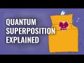 Superposition Explained Schrödinger S Cat Perimeter Institute For Theoretical Physics