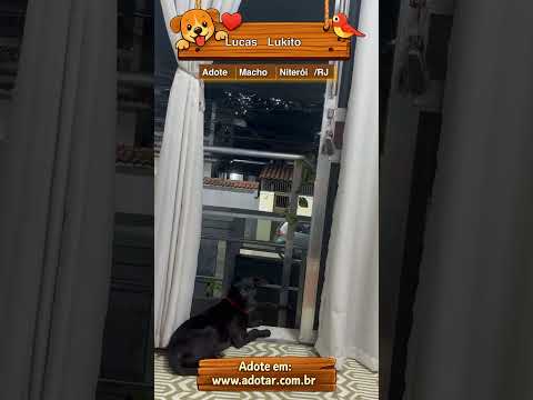 Vídeo de Lucas Lukito