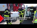 In de auto die betrokken was bij een ongeluk op de A58 bij Zegge werden allerlei reptielen ontdekt