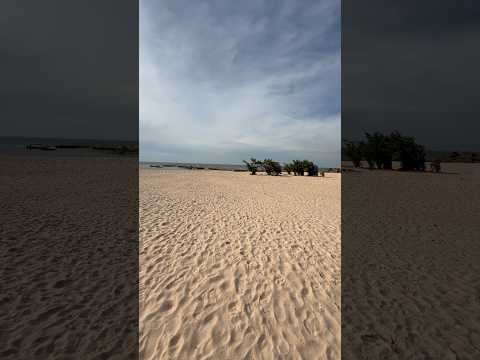 Praia de Ponta de Pedras em Santarém #ccsjorgesantarem #praia #lazer #turimos