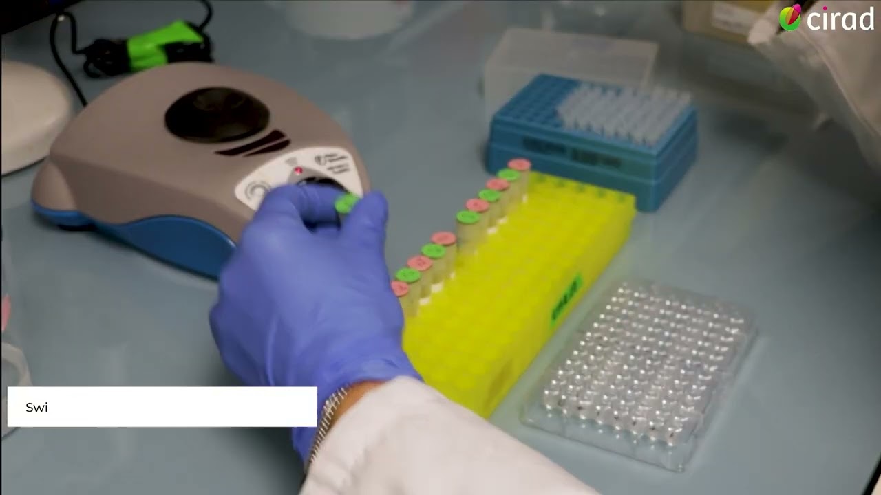 ELISA tutorial: serological diagnosis of animal trypanosomiasis